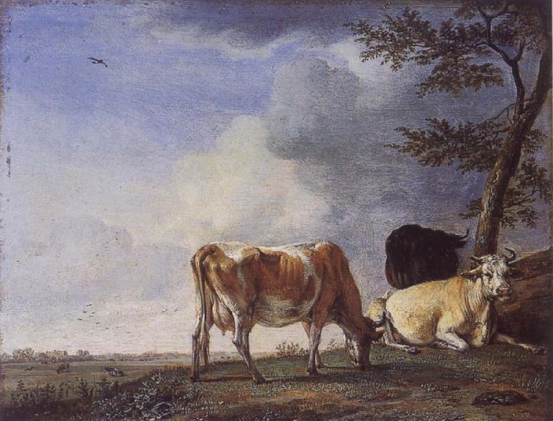 POTTER, Paulus Three Cows in a Pasture oil painting image